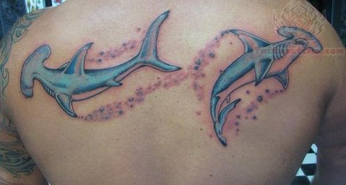 Hammerhead Shark Tattoos On Upperback